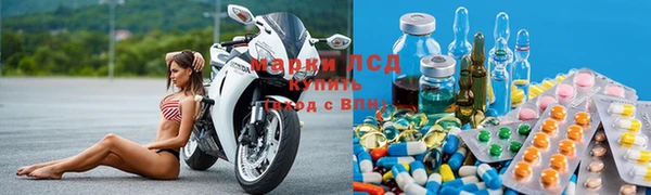 прущие грибы Нея