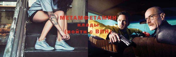 прущие грибы Нея
