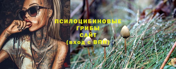 прущие грибы Нея