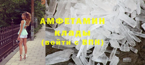 прущие грибы Нея