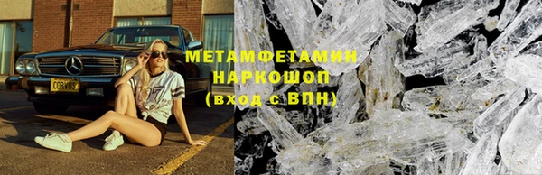 прущие грибы Нея