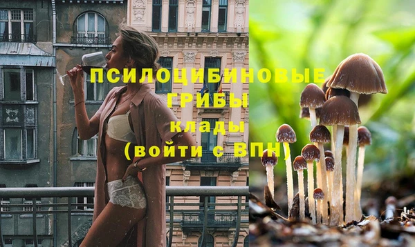 ГАЛЛЮЦИНОГЕННЫЕ ГРИБЫ Аша